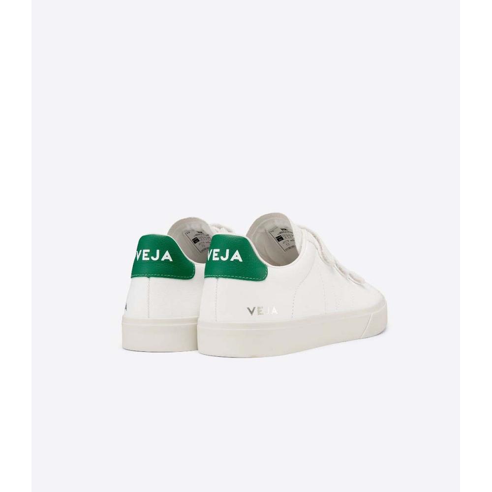 Veja RECIFE CHROMEFREE Tenisky Damske White/Green | SK 626AHK